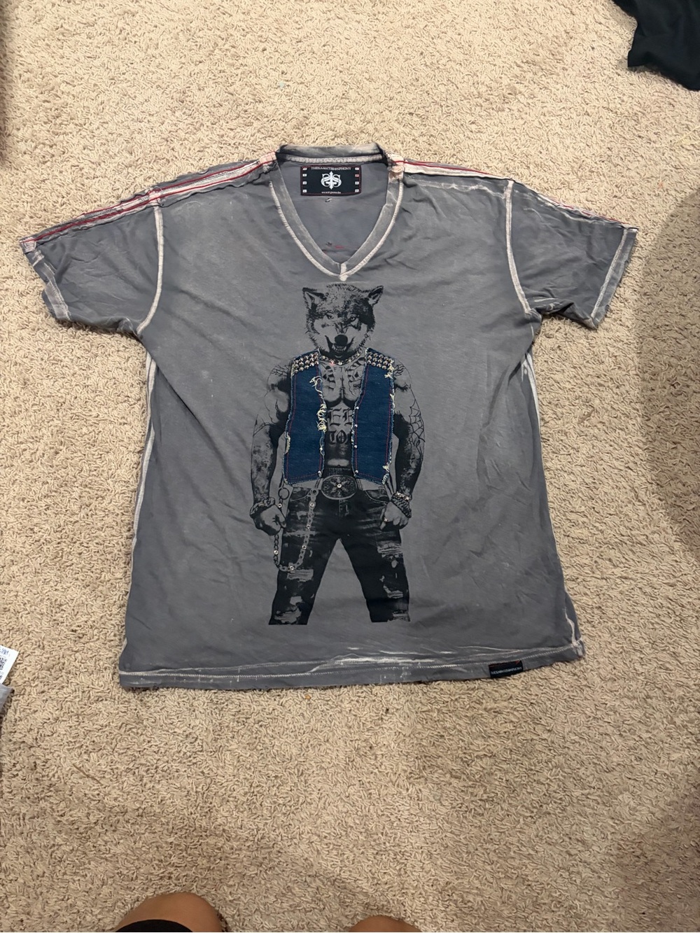 WOLF Men's Gray V‑Neck Tee with Blue Graphic Vest Print